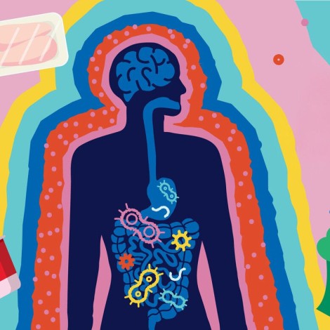 illustration of human with digestive tract