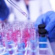 Polsky Center to Support New Biopharma Hub Funded by $10.4 Million Investment